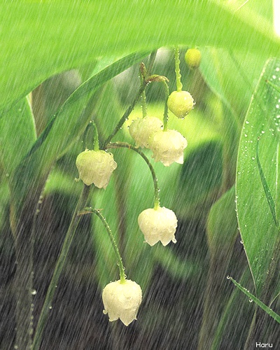 ˵