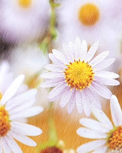 ˵