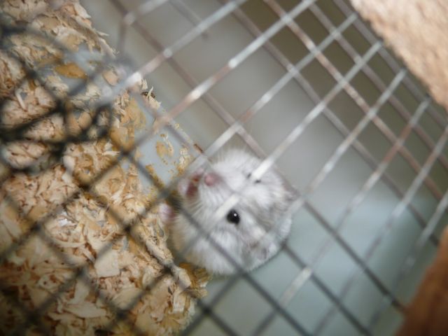 ˵