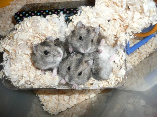 ˵