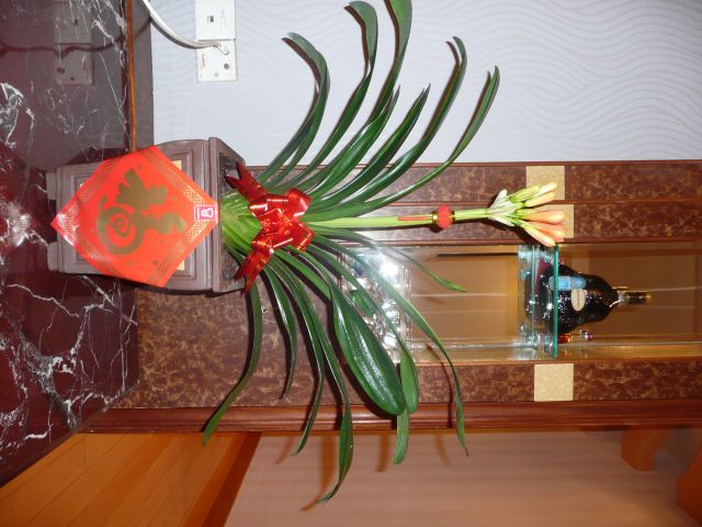 ˵