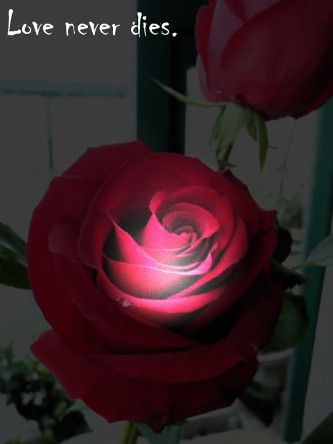 ˵