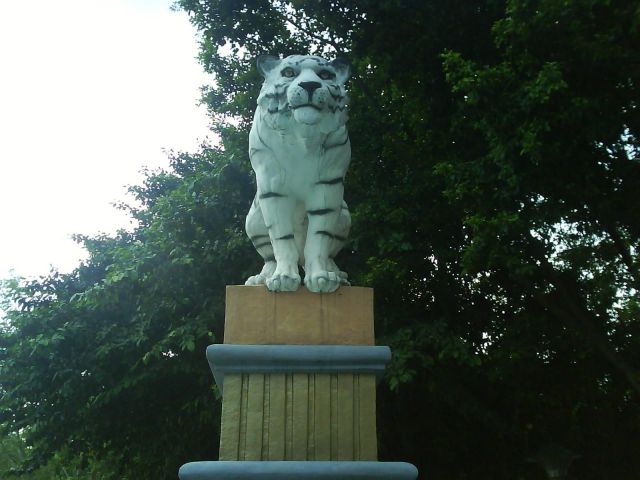 ˵