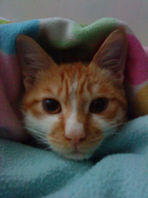 ˵