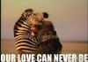 Lion's