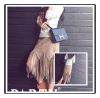 2016���K�L�s�~�_�j猄�ֵ��yĬ�˹�����